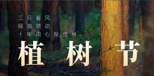 科瑪森植樹節(jié)的儀式感，與客戶共建事業(yè)