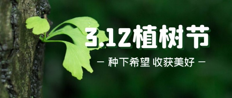 科瑪森--樹(shù)聚成林，人聚成事